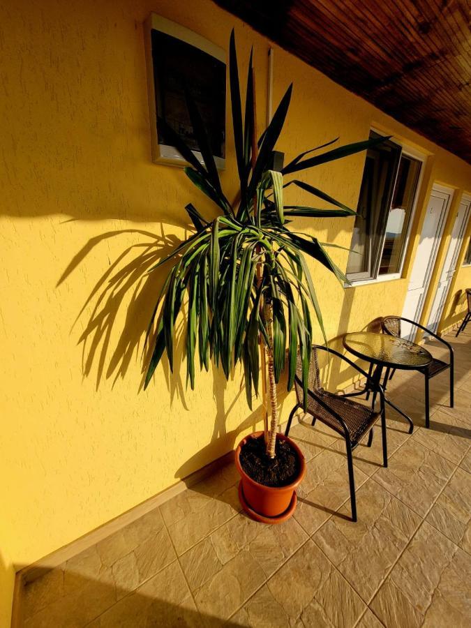 Cabana Varad Coronini Moldova Veche Luaran gambar